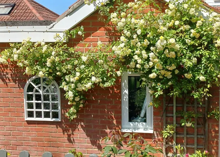 Santi Bhavana Bed & Breakfast